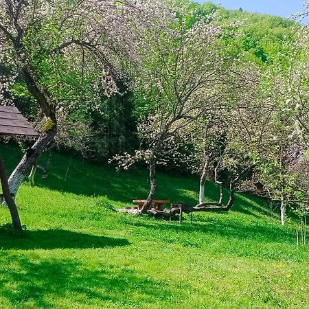 Під Горою Villa Sheshory Ngoại thất bức ảnh