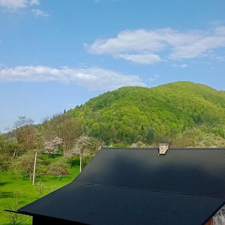 Під Горою Villa Sheshory Ngoại thất bức ảnh